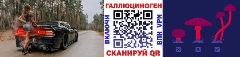 Псилоцибиновые грибы Psilocybine cubensis  купить   МЕГА   Приморск 